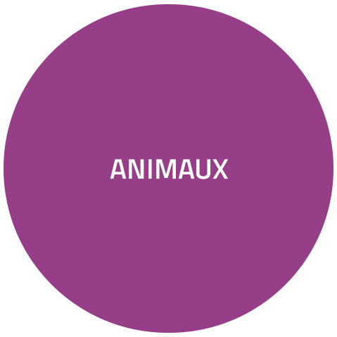 animaux