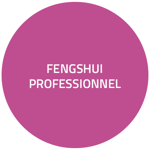 fengshui professionnel