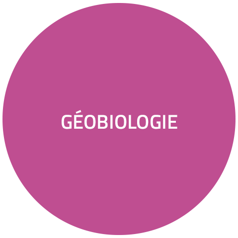 geobiologie